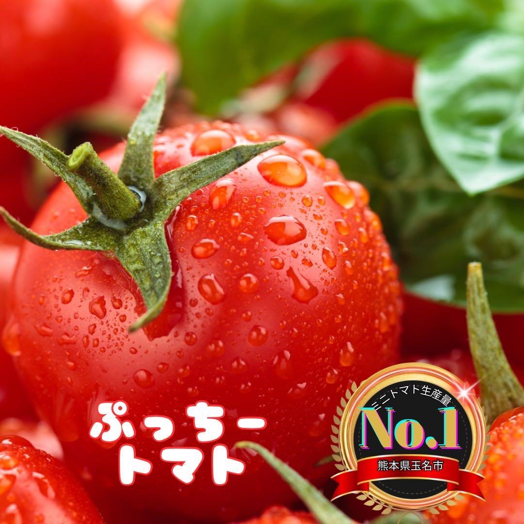 ミニトマト　12キロ　野菜　熊本　おやつ　弁当　おかず　ミネラル　リコピン