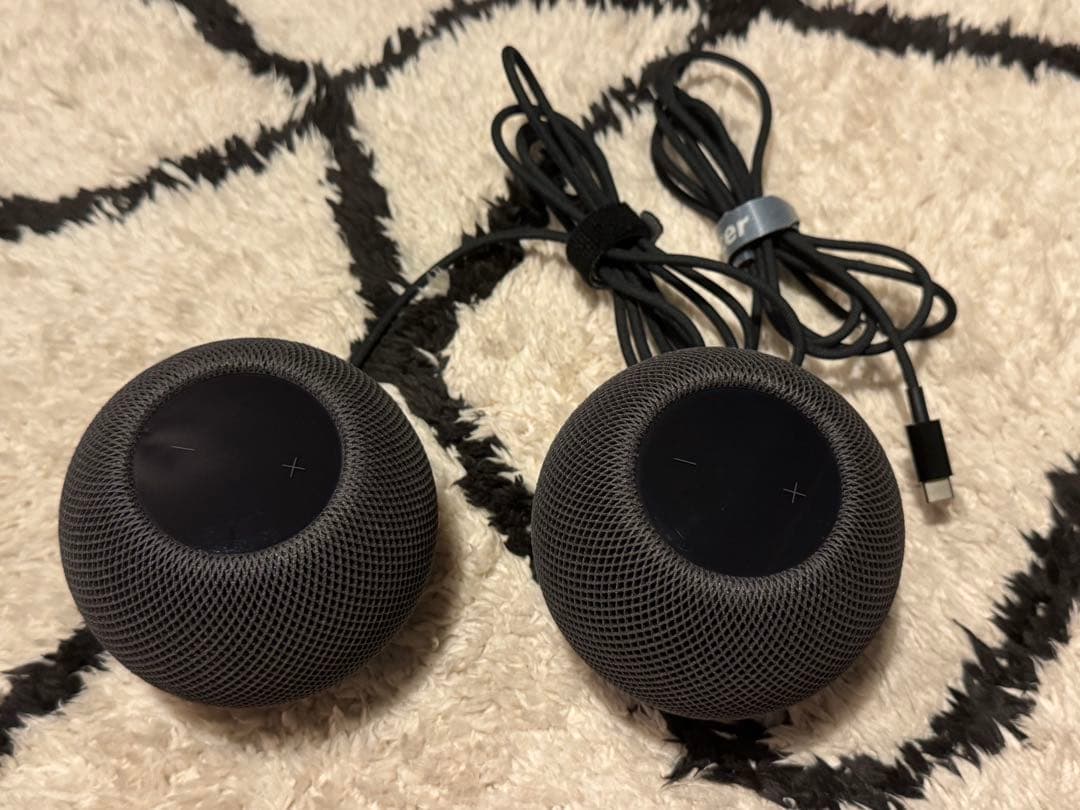 Apple pod mini 2個セット