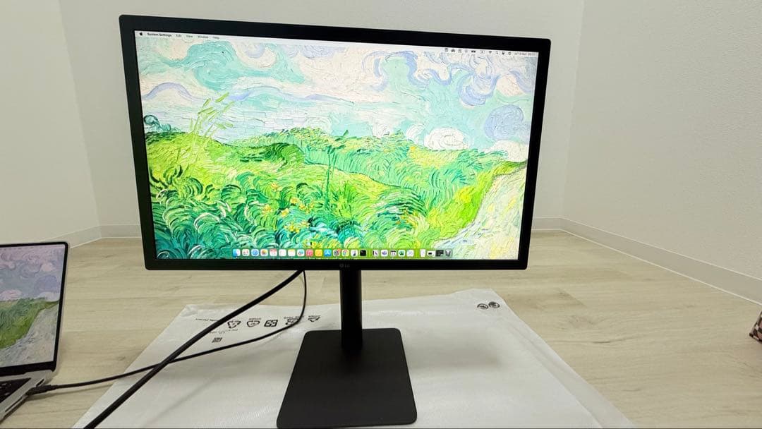 Apple純正UltraFine 4K Display 24㌅Retina LG