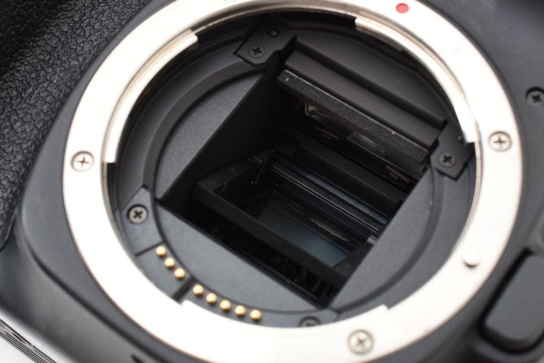 保証付き/デジタル一眼レフカメラ Canon EOS 80D/望遠レンズセット