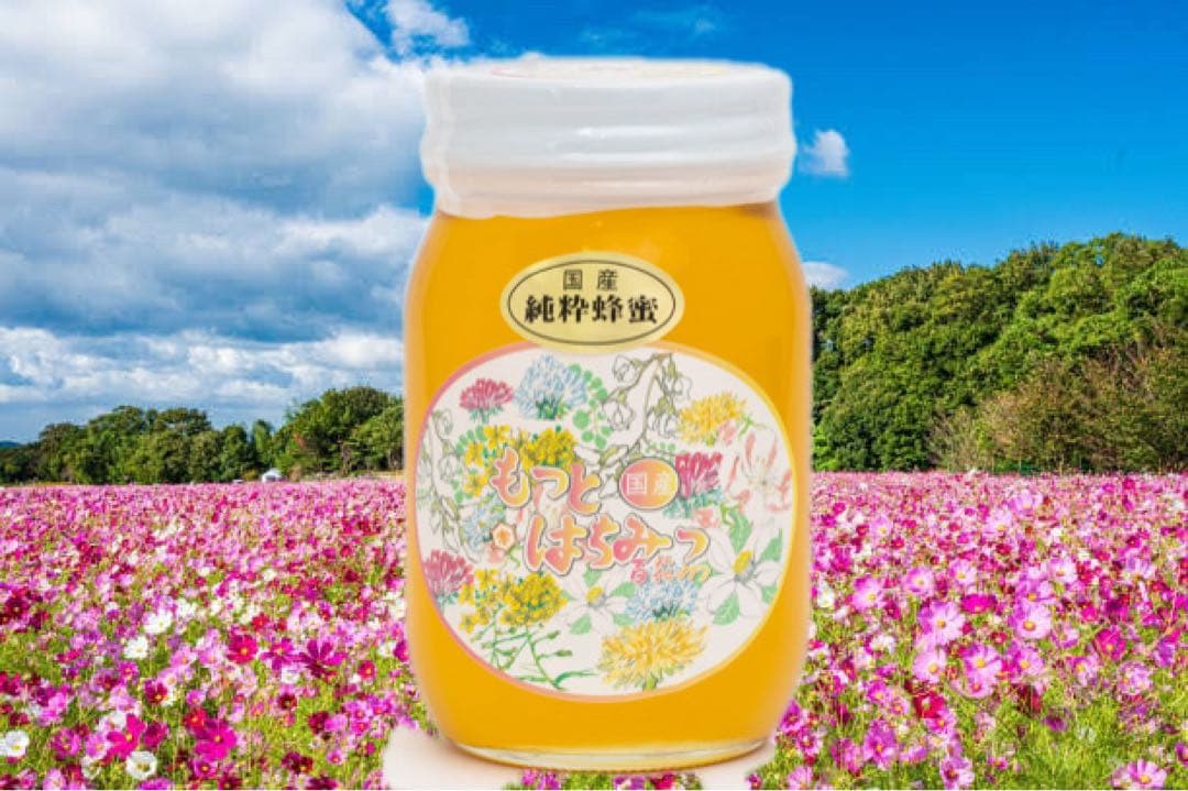 国産純粋 百花蜂蜜　600g×6本
