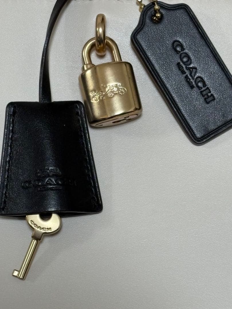 【1月4日迄 値下げ】COACH バッグ ホワイト・ブラック