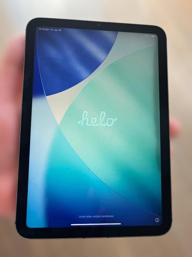 iPad mini 6 Wi-Fi + Cellular 64GB（ジャンク品）