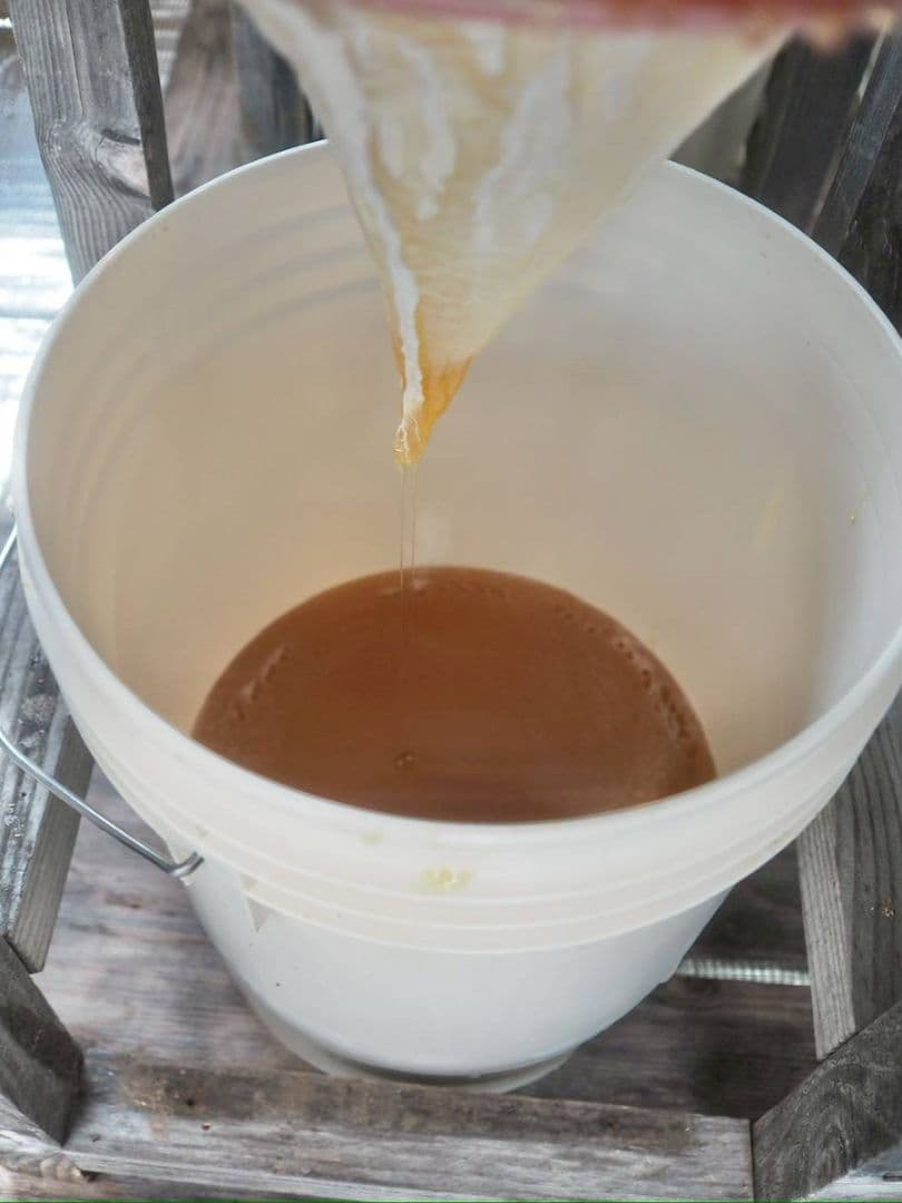 日本蜜蜂完熟ハチミツ(600g×2)