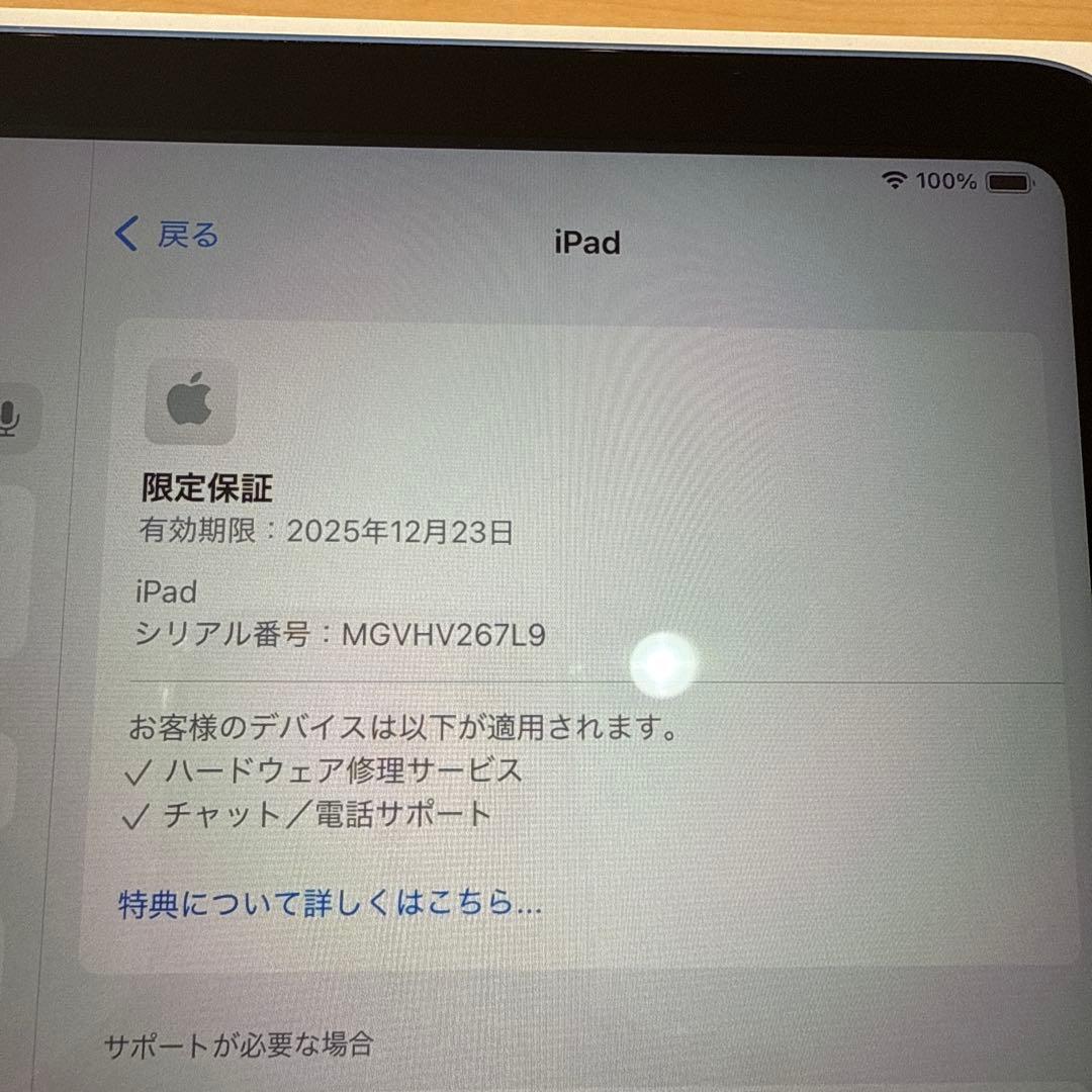 【美品】Apple iPad 第10世代 Wi-Fi 64GB ブルー 残保証有