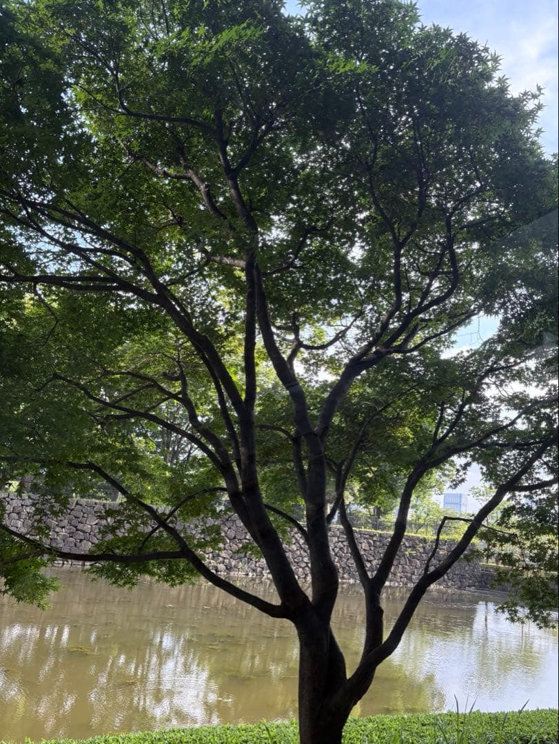 HERMES マルチカラーバングル