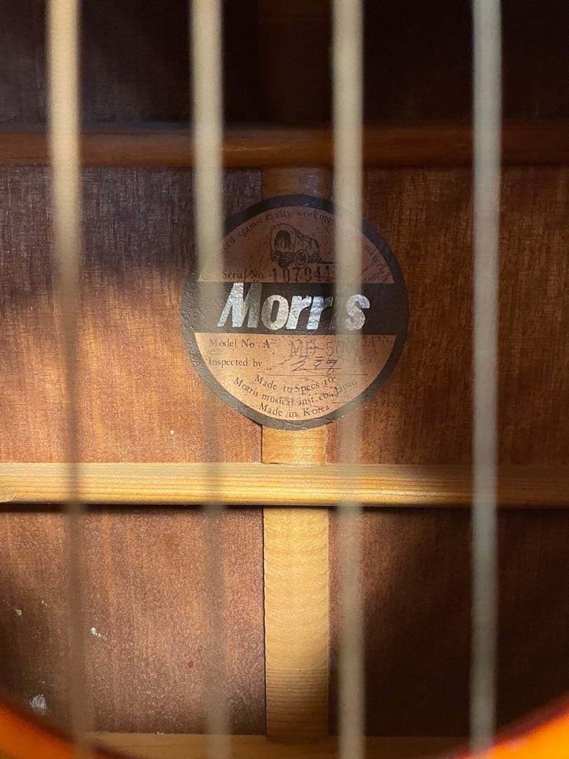 Morris アコースティックギター Md-507