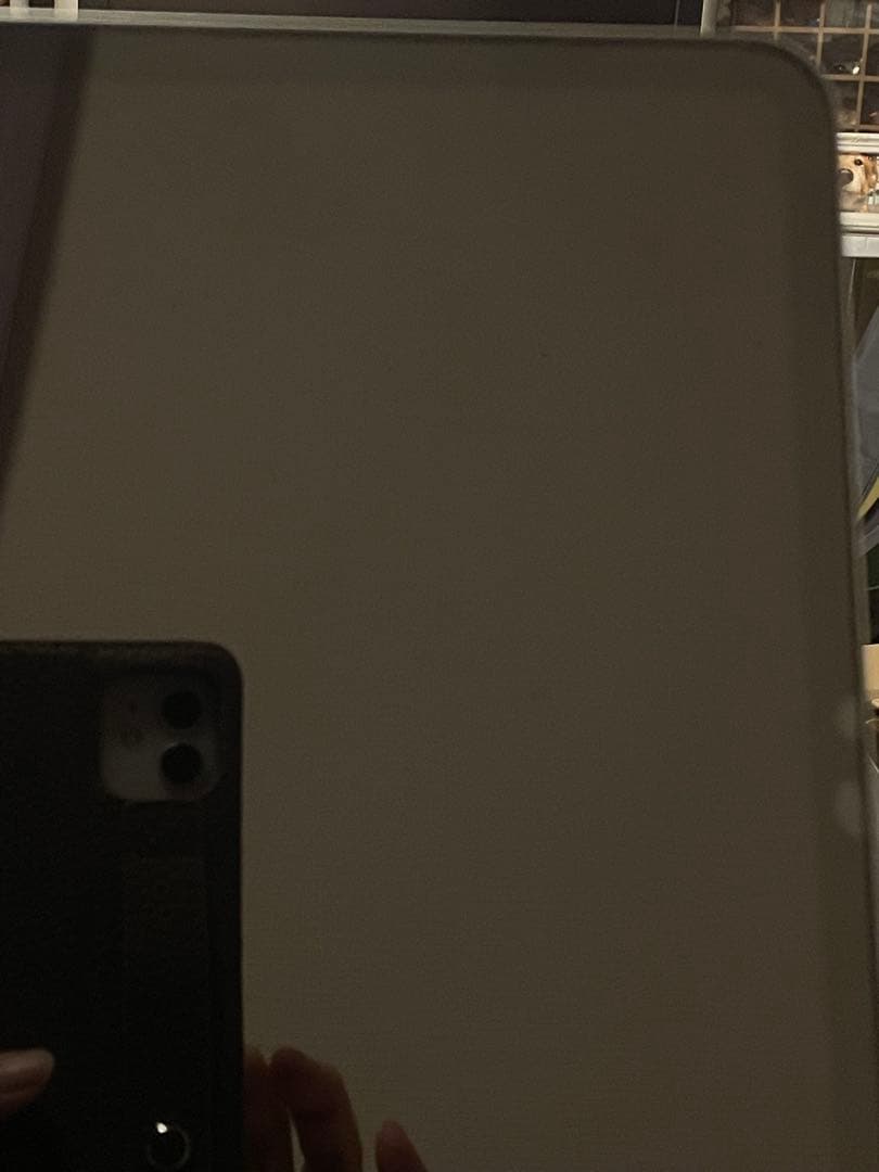 【美品】iPad Pro 12.9インチ4代目256 GB ￼