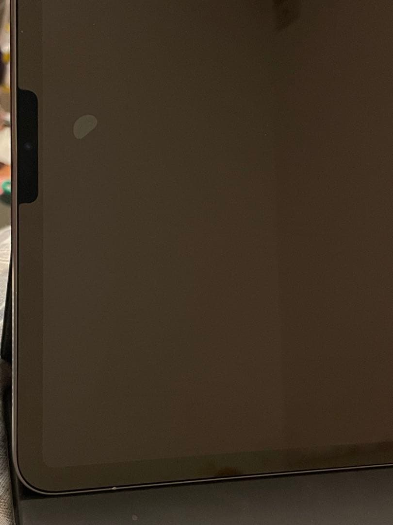 【美品】iPad Pro 12.9インチ4代目256 GB ￼