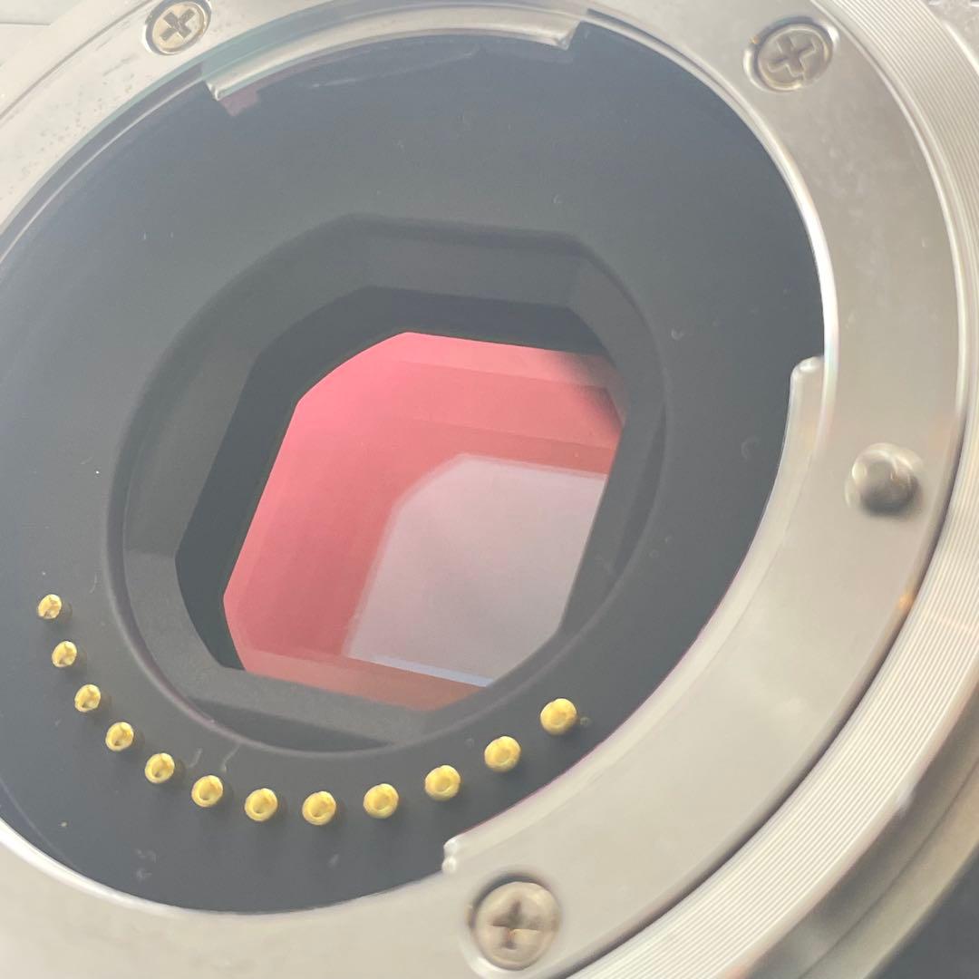 【ショット数200・返品保証】Nikon1 J5 標準レンズキット