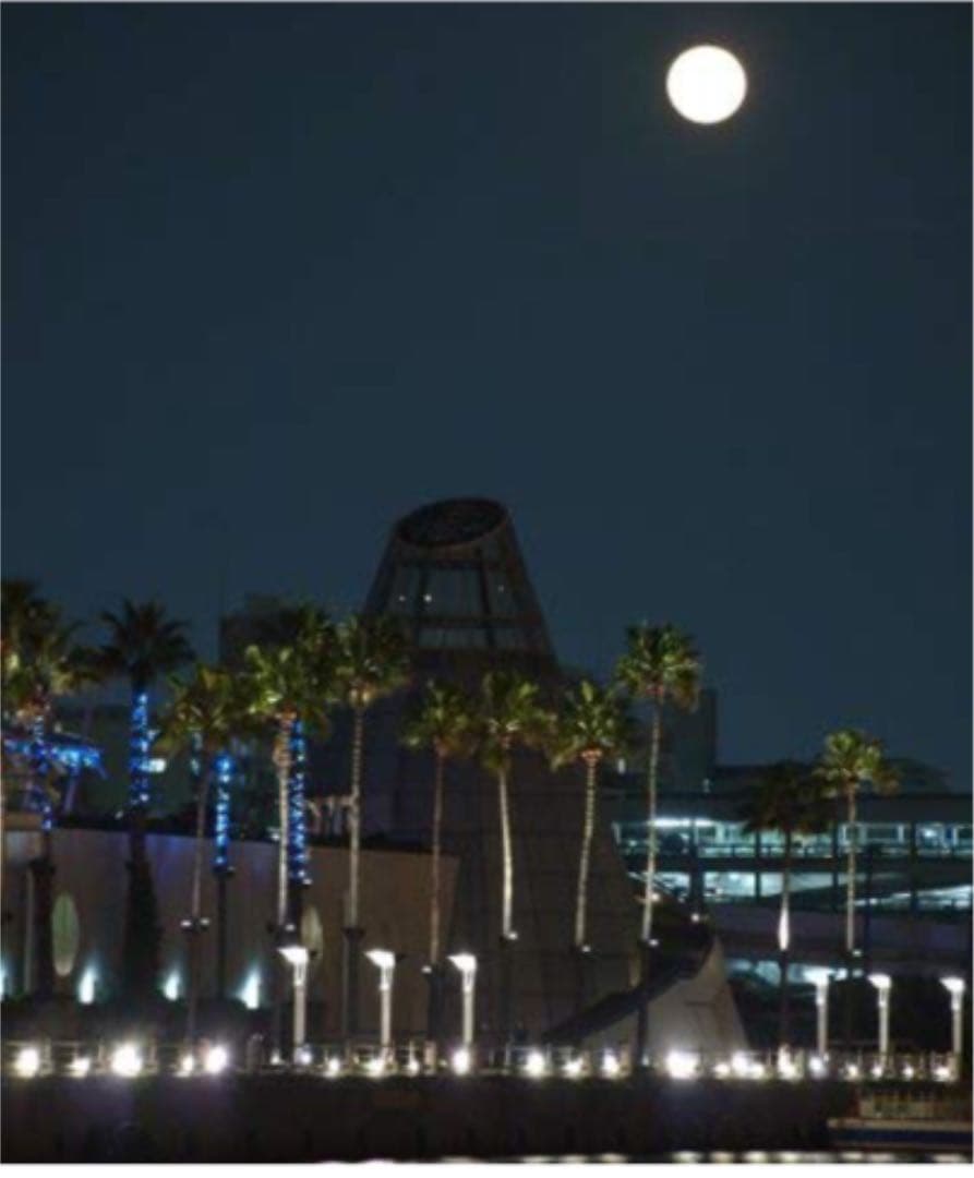 OLYMPUS 望遠ズームレンズ