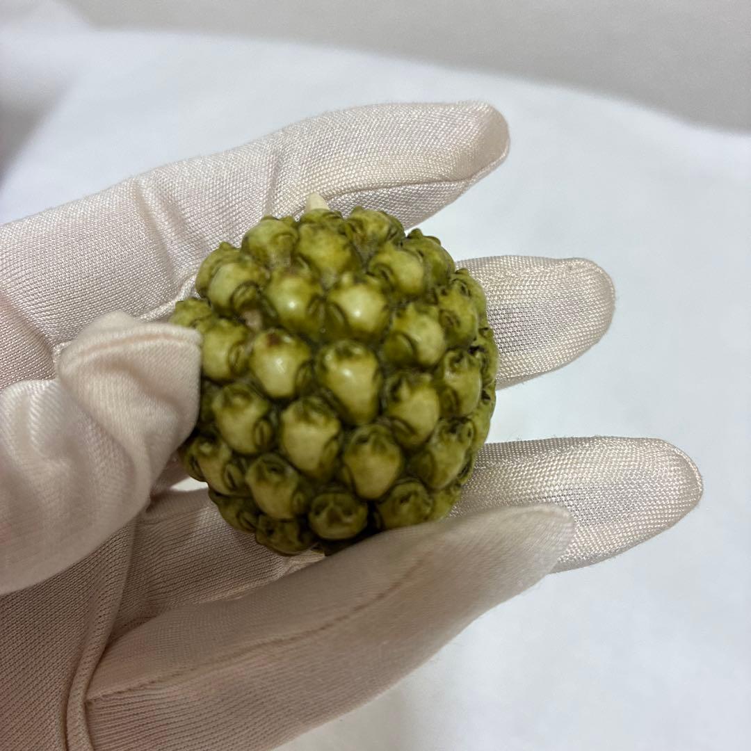 置物 Harmony Kingdom Frogberry Ivory