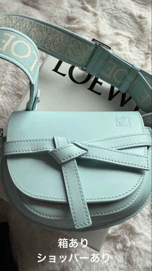 LOEWE ロエベゲートデュアルバッグミニブルーアイスバーグカーフ ジャカード