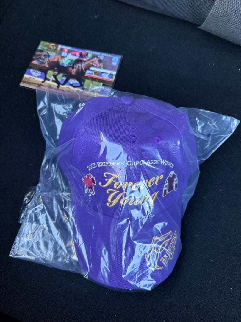 競馬 JRA フォーエバーヤングキャップ