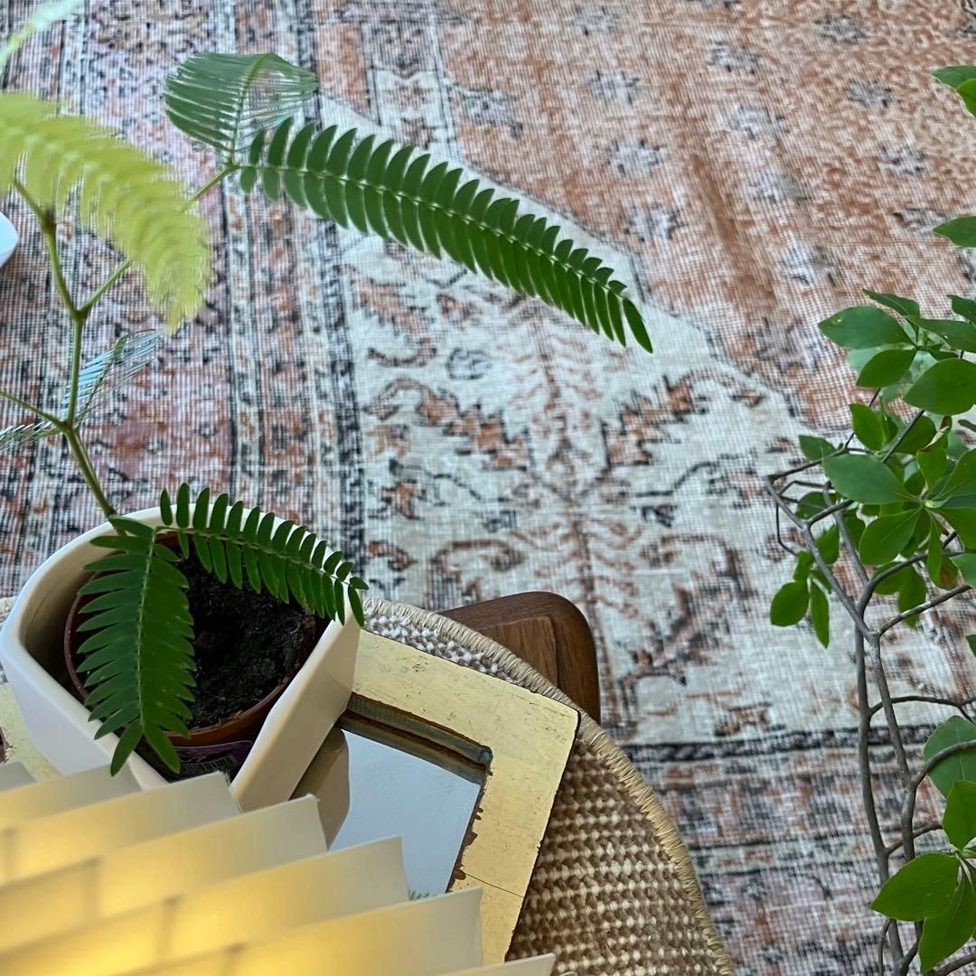 超大判157×269品メダリオン　コーラルピンク　ミルク　トルコヴィンテージラグ