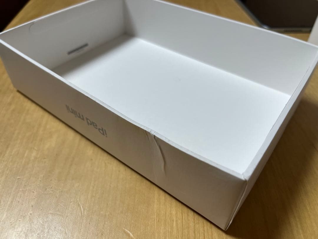 iPad mini 第7世代 256GB Wi-Fi ブルー 本体