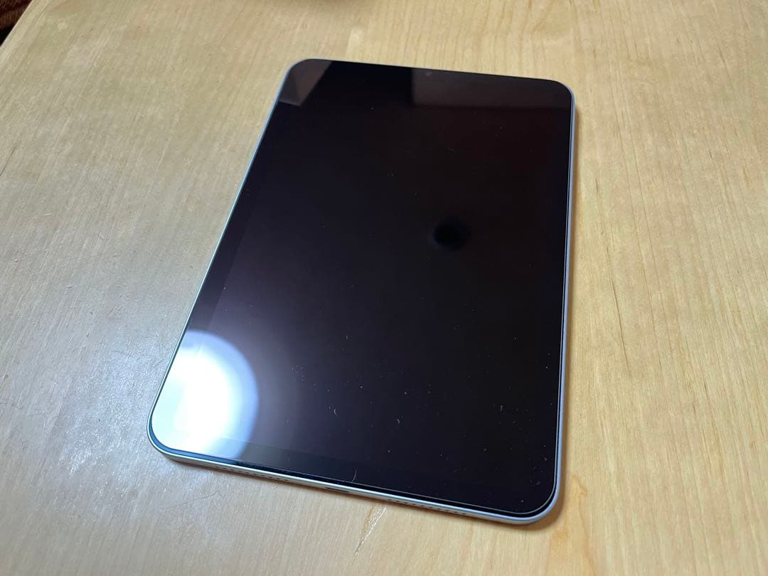 iPad mini 第7世代 256GB Wi-Fi ブルー 本体