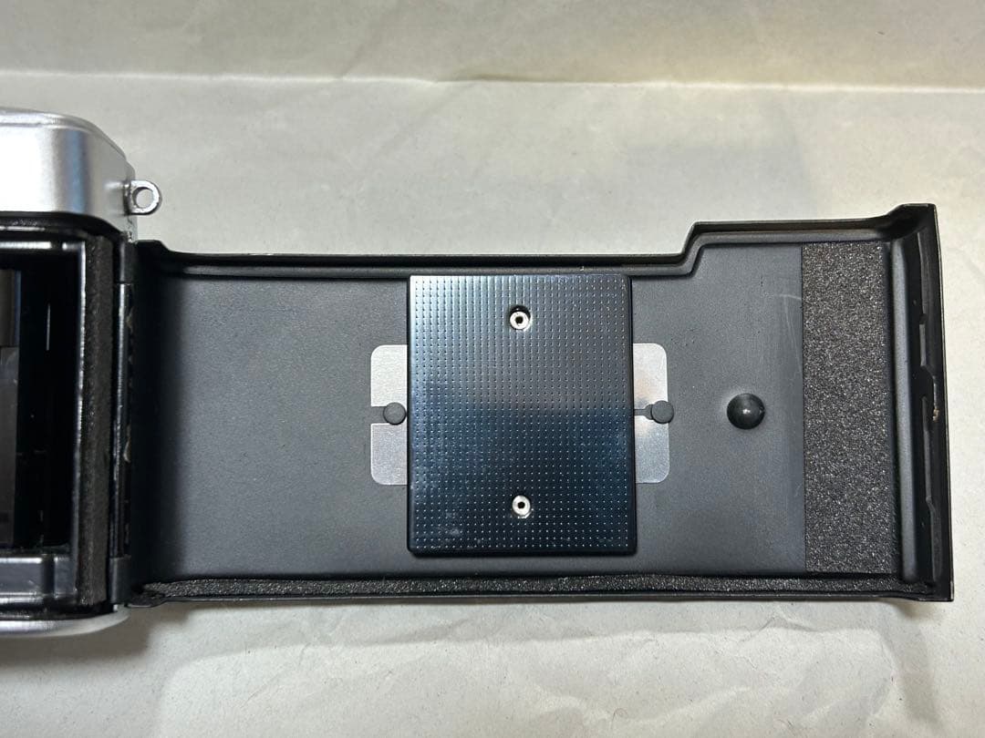 【使える!】OLYMPUS-PEN EE-3 　赤ベロ、モルトOK！良品１