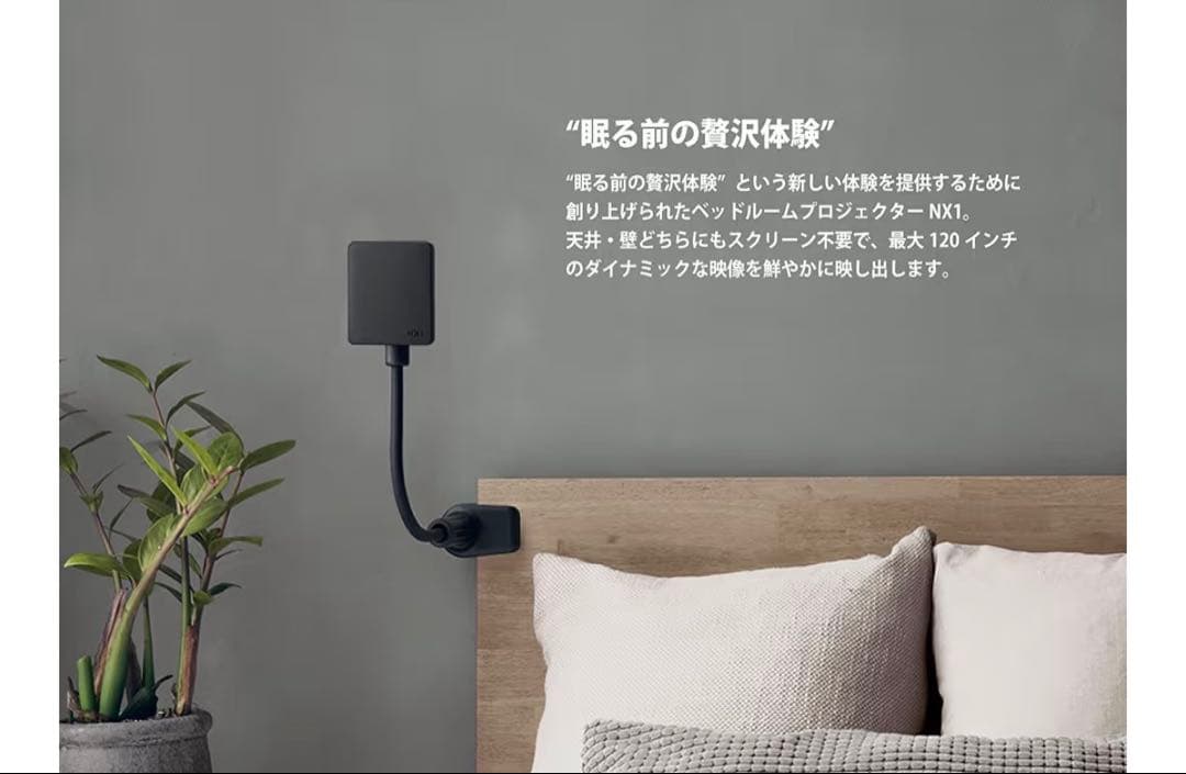 Nextorage NX1 プロジェクター本体