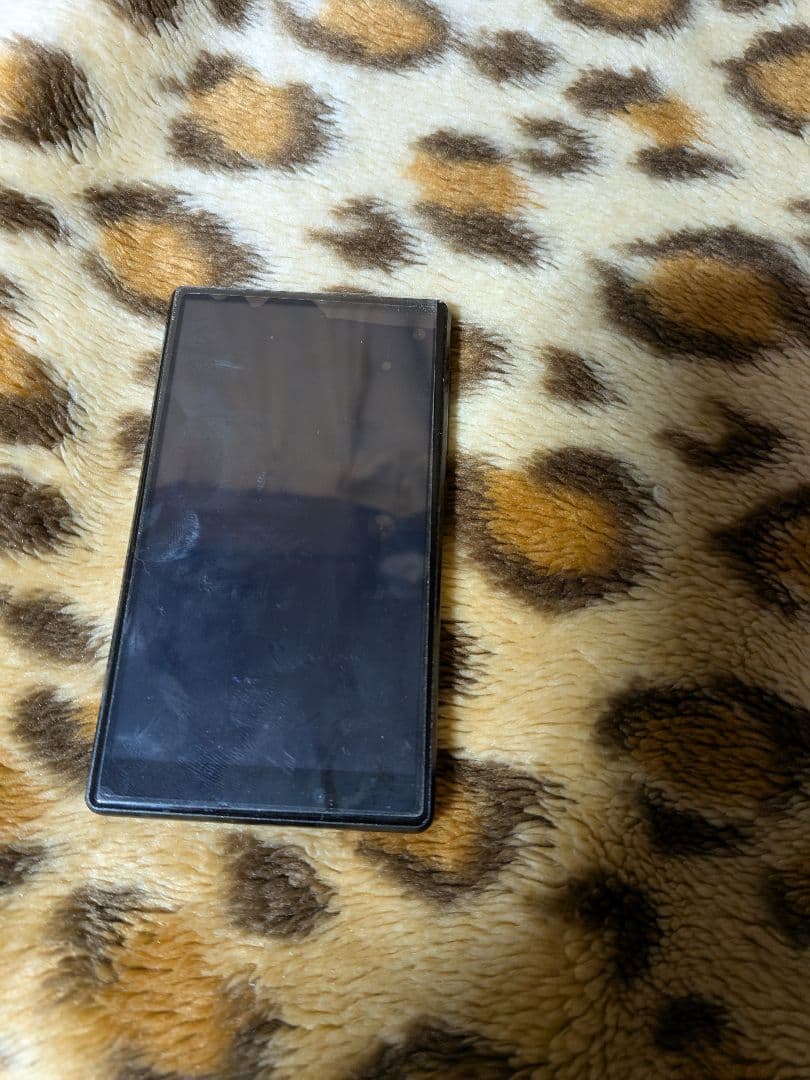 OILSKY MP3プレイヤーM501暗紫色