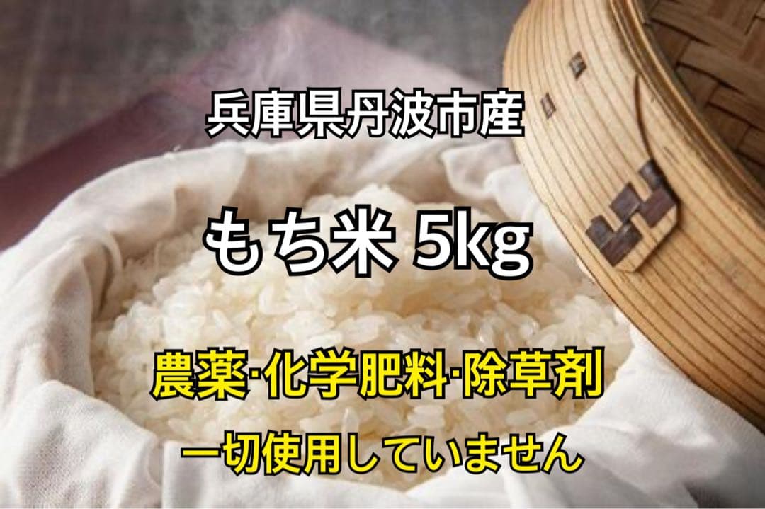 もち米 30kg ヤマフクモチ　【無農薬✨️】 兵庫県丹波市産