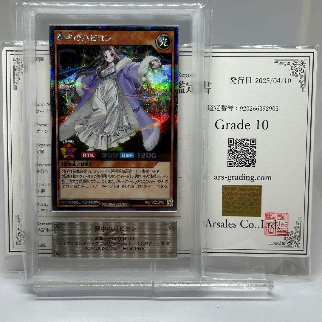 【ARS10】 夢中のパピヨン　シークレット