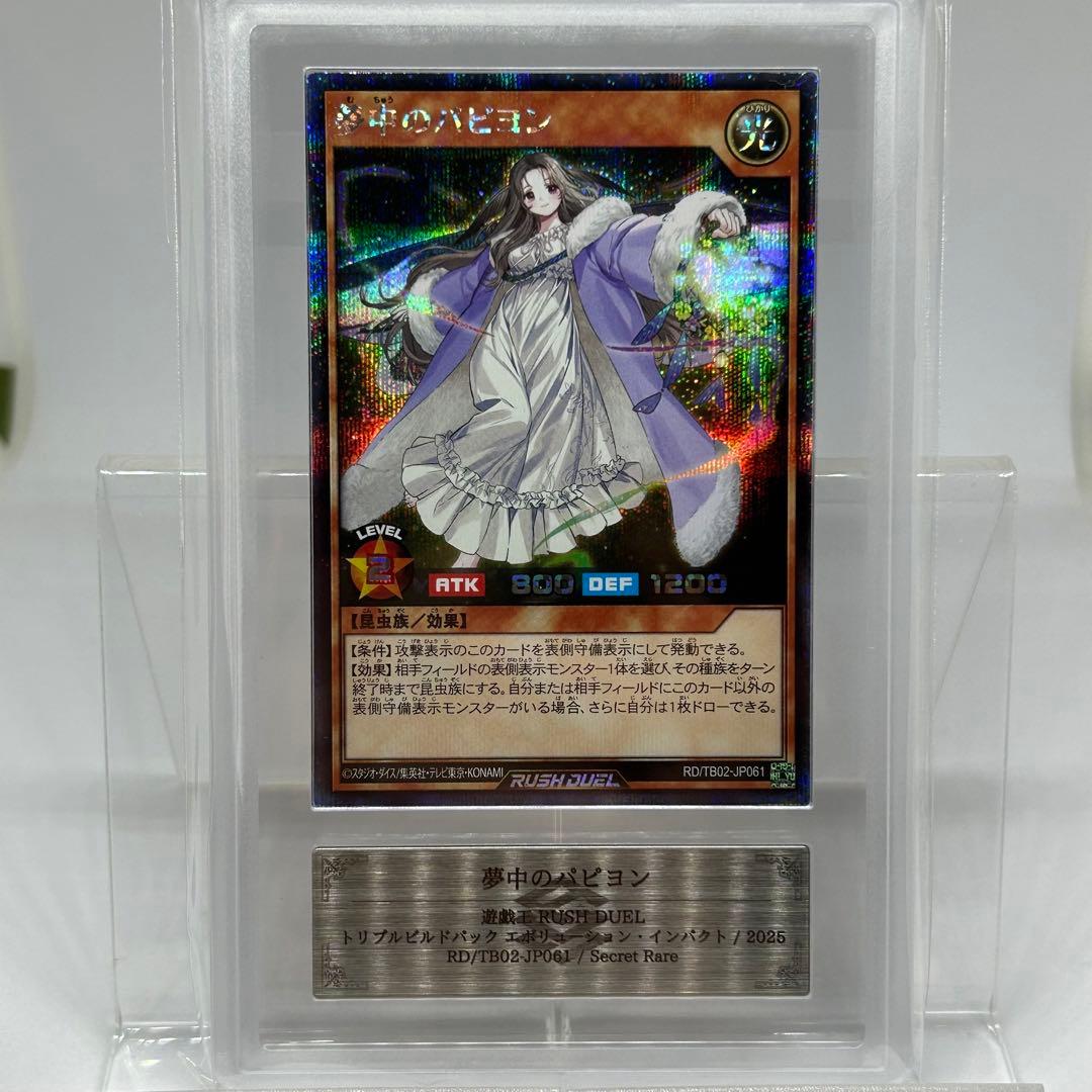 【ARS10】 夢中のパピヨン　シークレット