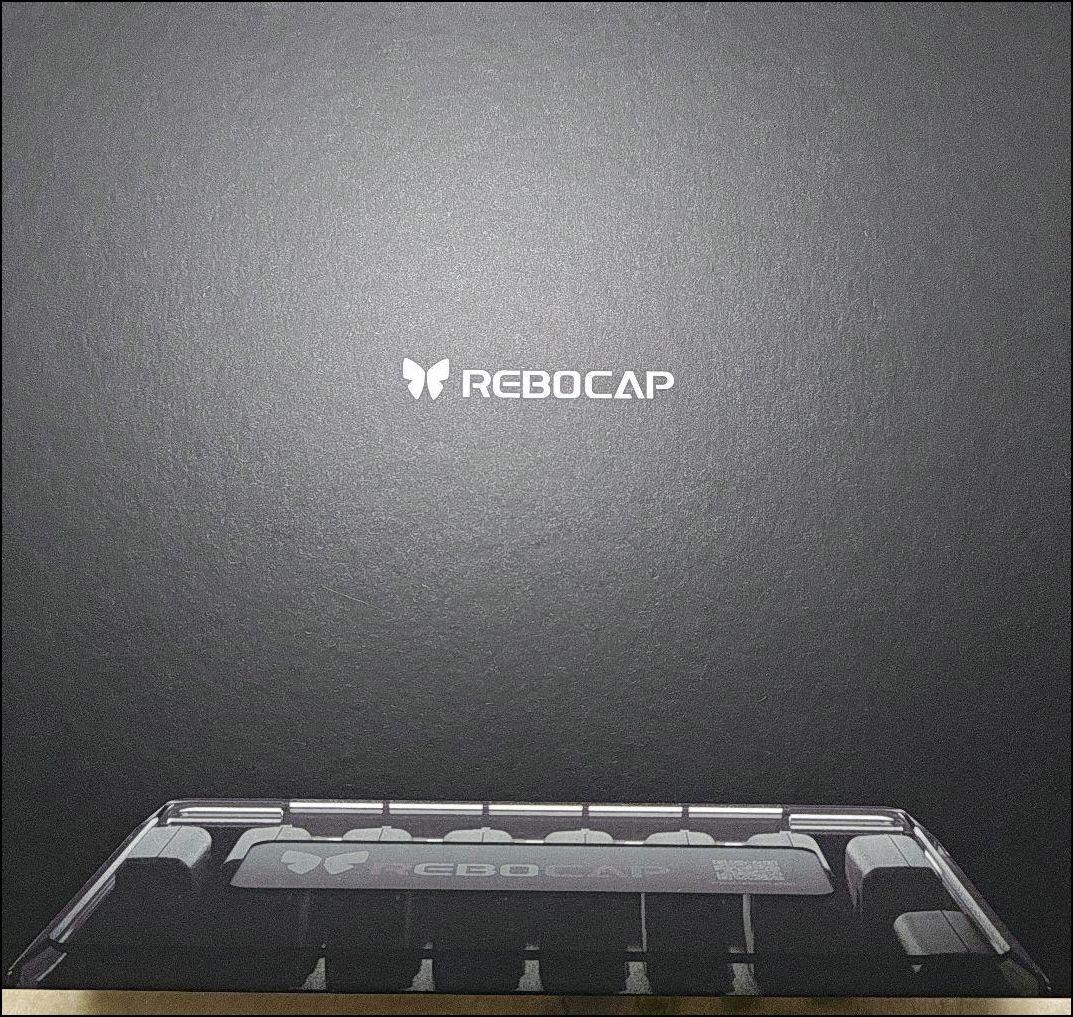 REBOCAP VRCHAT　全身慣性モーションキャプチャ