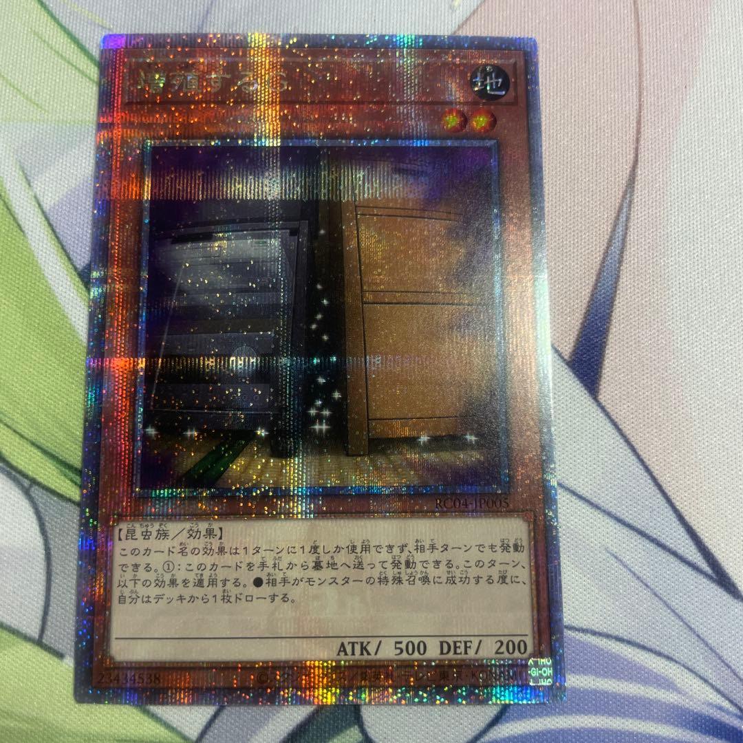 増殖するG 25thシークレット　クオシク