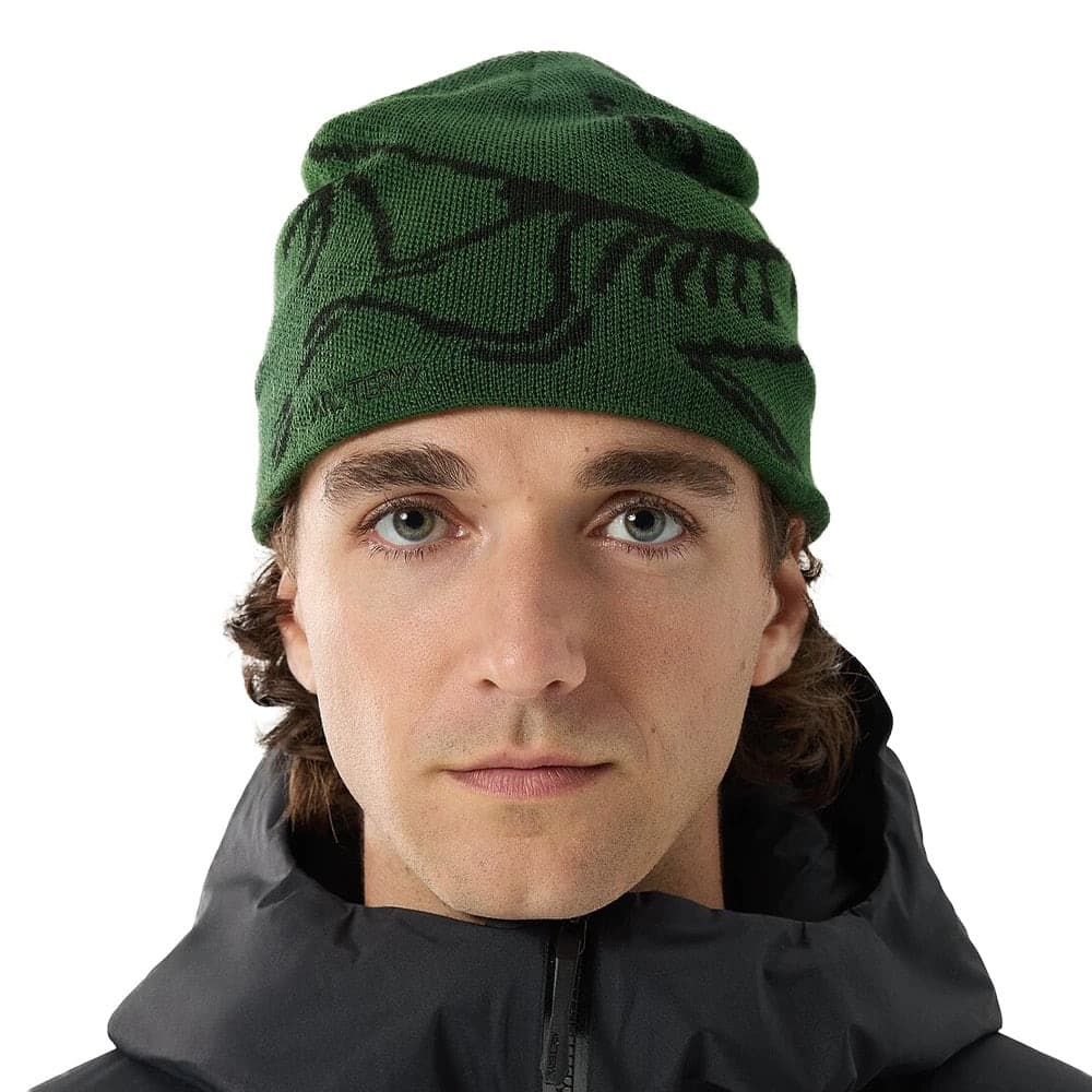 ARC'TERYX Bird Head Toque バード ヘッド トーク