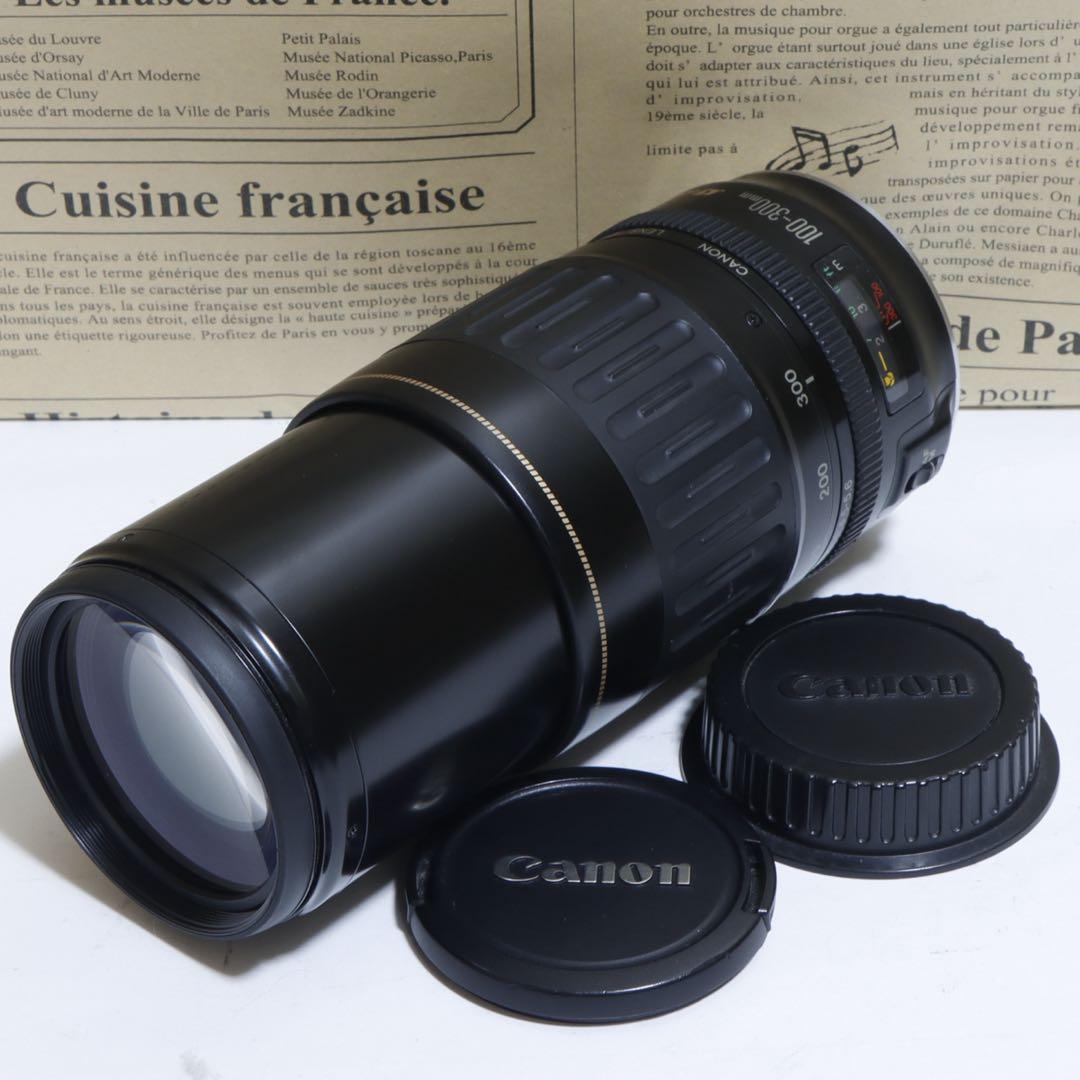 ◇超望遠&高速AF◇Canon純正 300mm 望遠レンズ!!◇