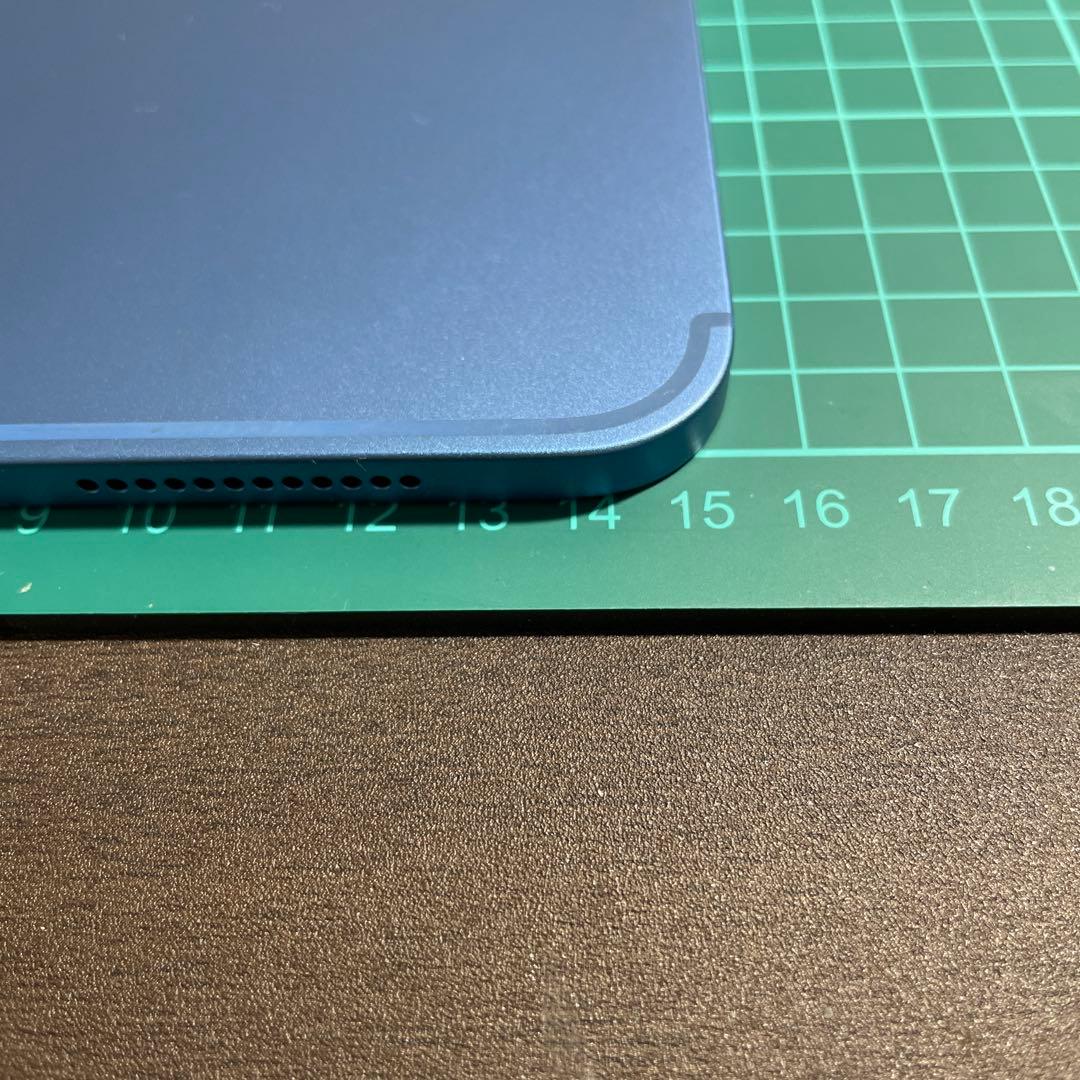 極美品　Apple iPad（第10世代）Wi-Fi+Celluler 本体のみ