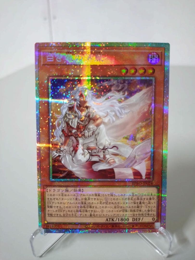 遊戯王　白き竜の落胤【プリシク】