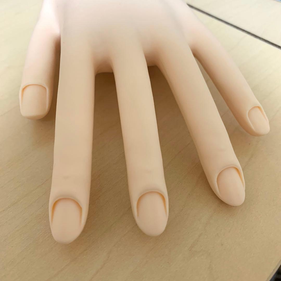 【美品】JNEC認定モデルハンド　両面テープ、キューティクルシール付き