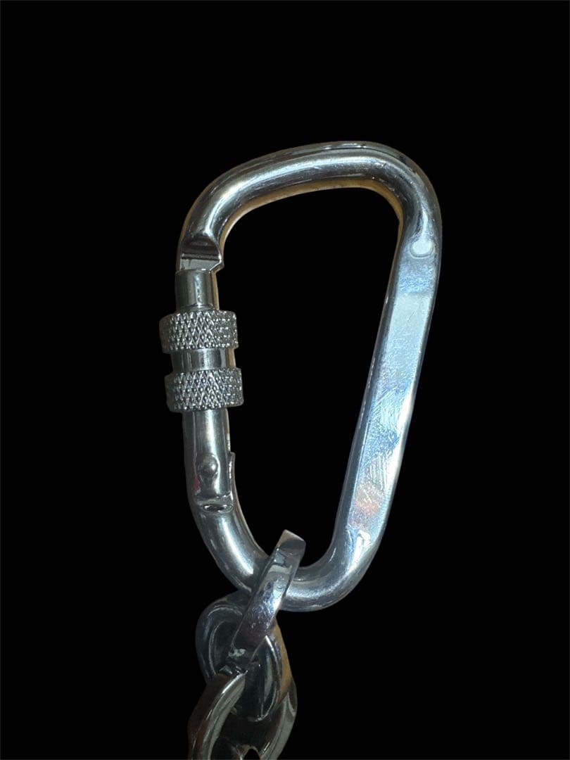 【値下げ】evisu エヴィス　カモメマーク　ウォレットチェーン 限定生産