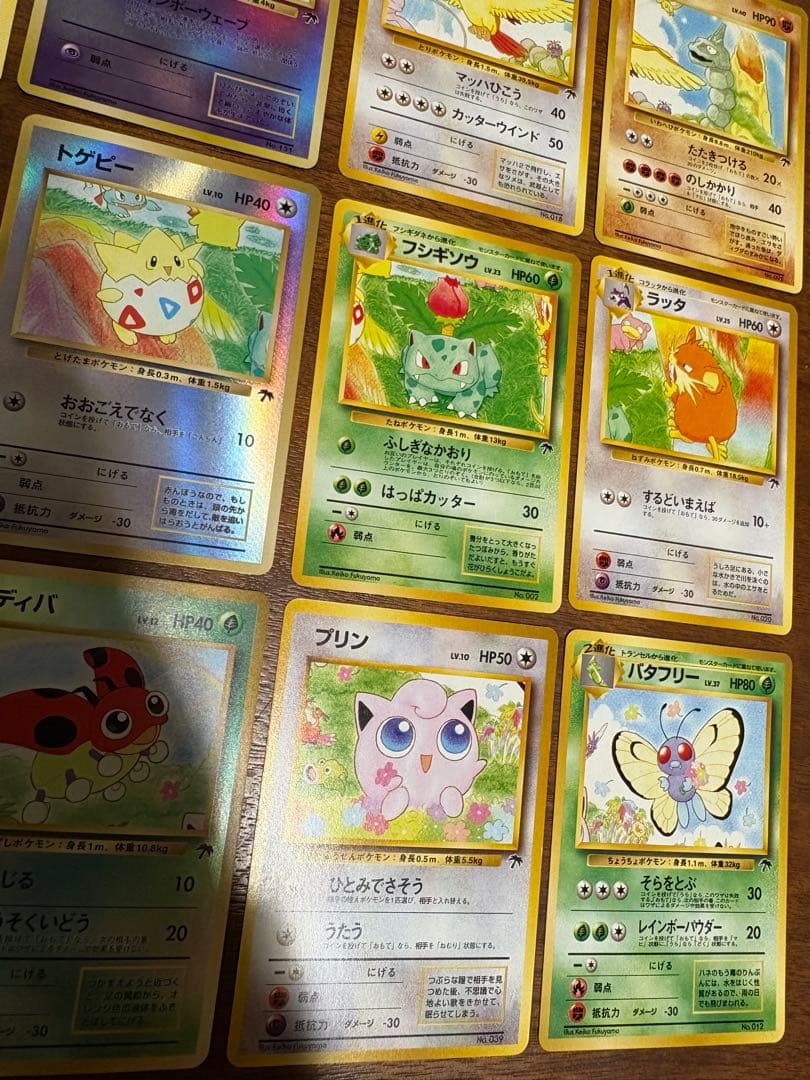 サザンアイランドコンプリートセット/ルギア爆誕の劇場プロモ ポケモンカード旧裏