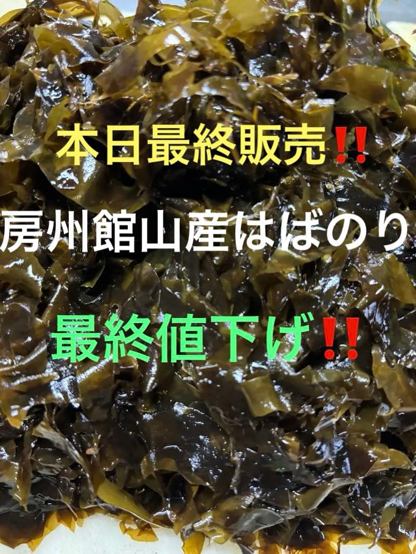 房州館山産はばのり✴︎50枚約450g