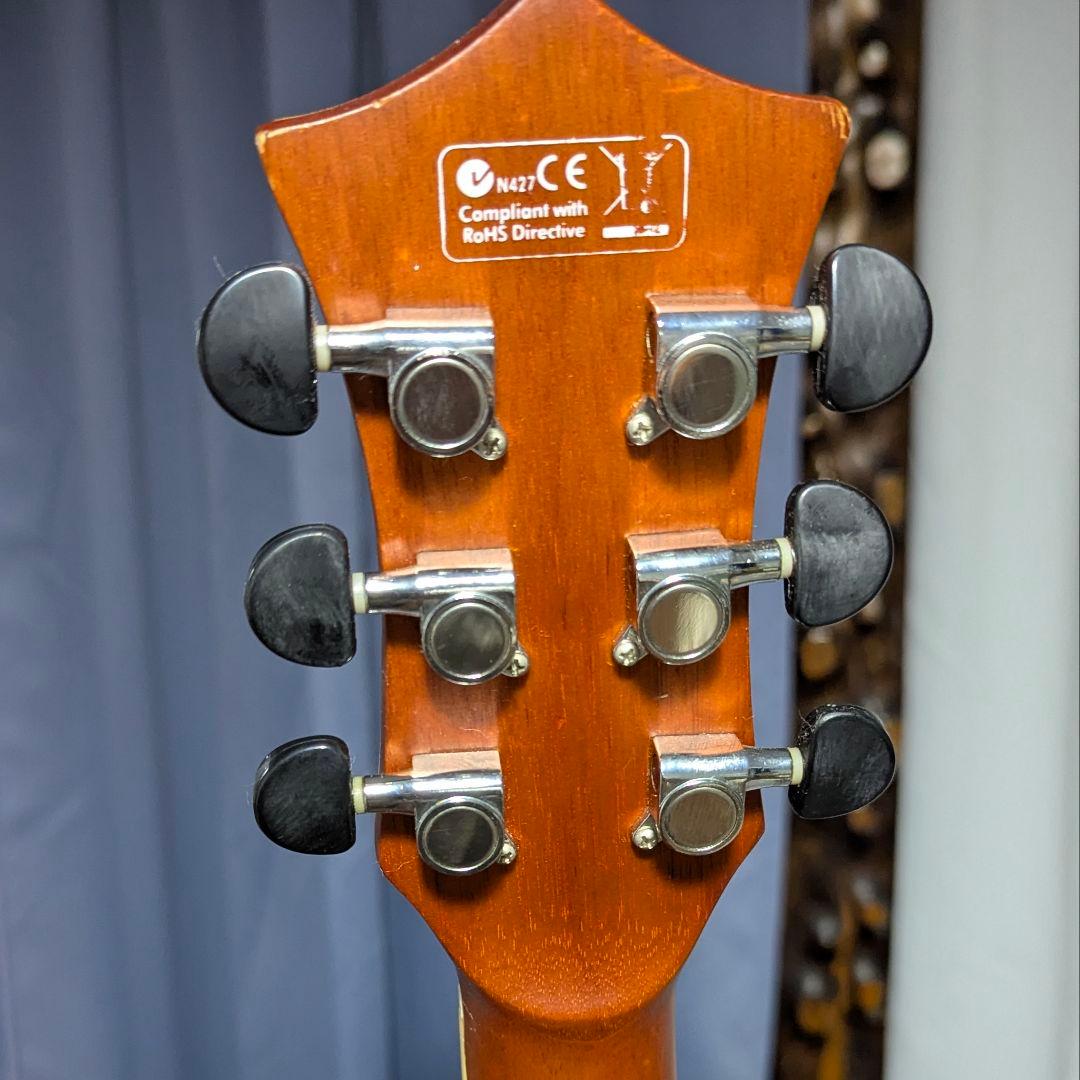 Elioth製カスタムフォークギター