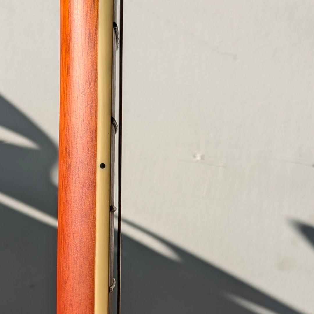 Elioth製カスタムフォークギター