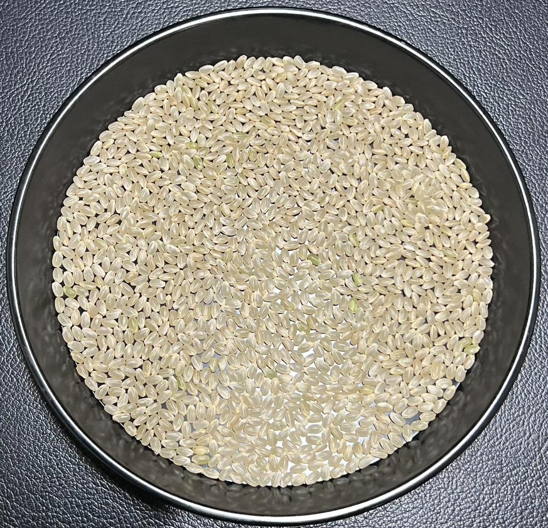 送料無料 一等検査 玄米 令和7年産 京都 丹後 コシヒカリ 30kg