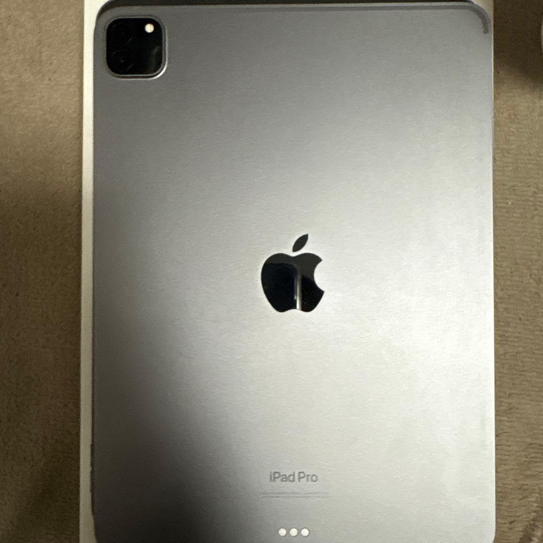 おまけ付き　Apple iPad Pro 11インチ　モデル第4世代　本体