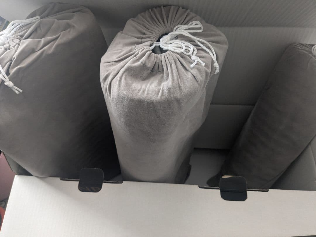 DENBA HEALTH スタンダード 【新品未開封】