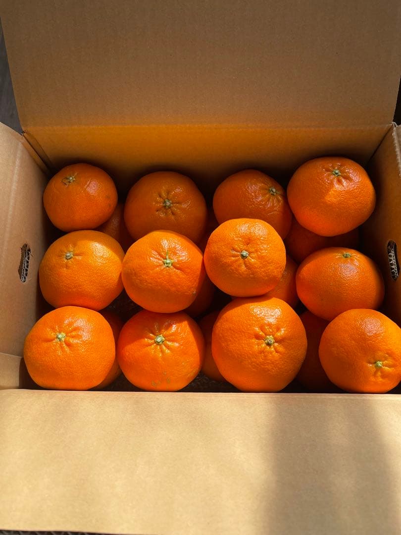 甘平(5kgx2箱)・ご家庭用