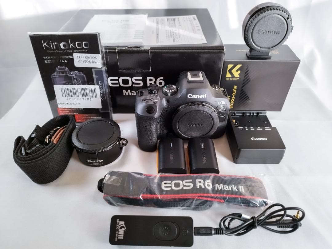 【美品】Canon EOS R6 Mark II｜おまけ多数