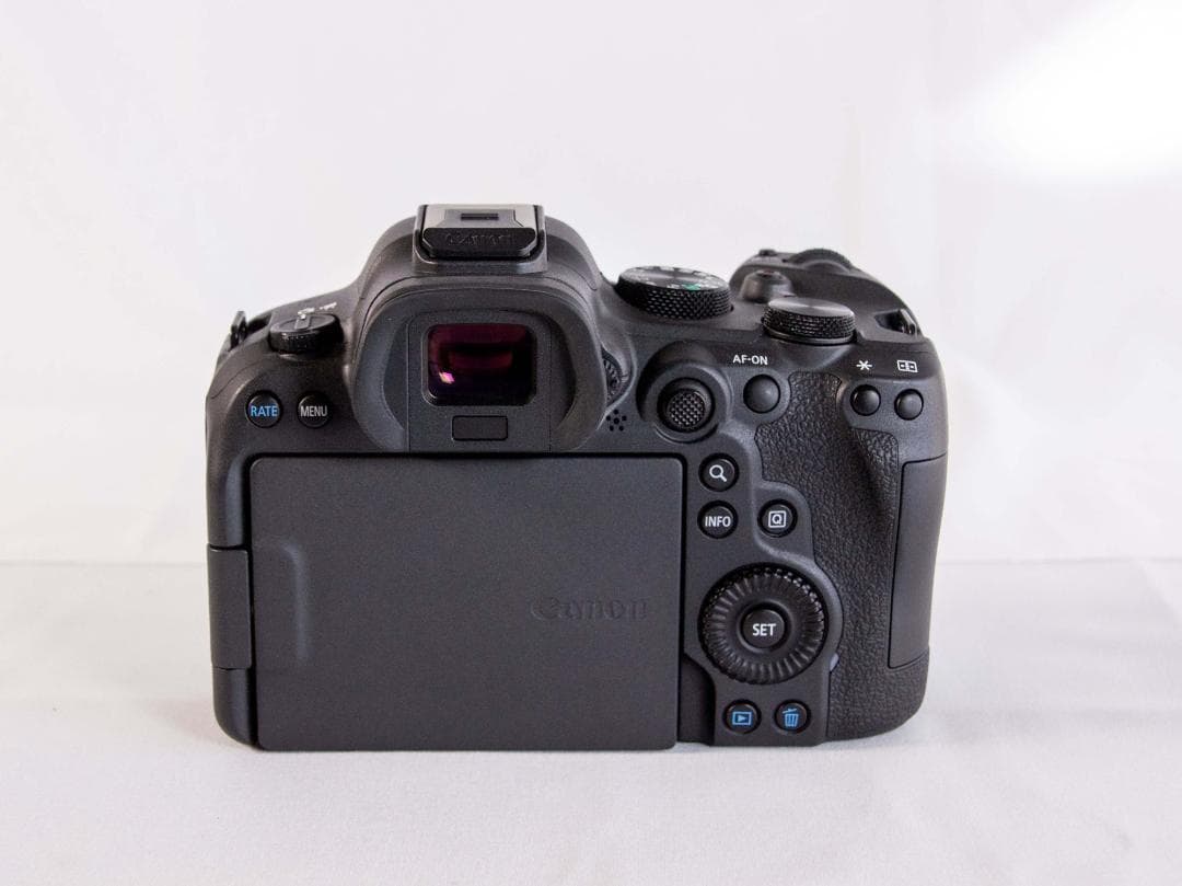 【美品】Canon EOS R6 Mark II｜おまけ多数