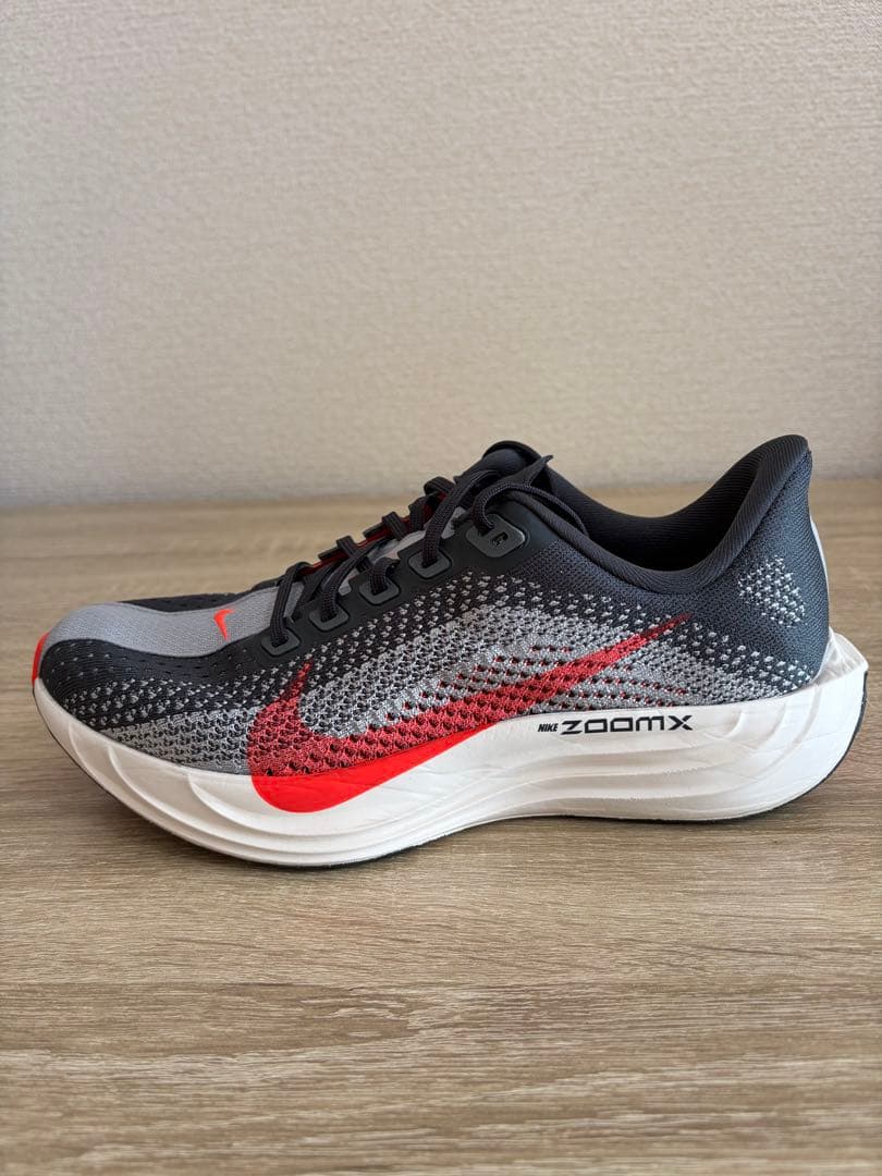 １回使用 ナイキ ペガサスプラス NIKE 25cm メンズ