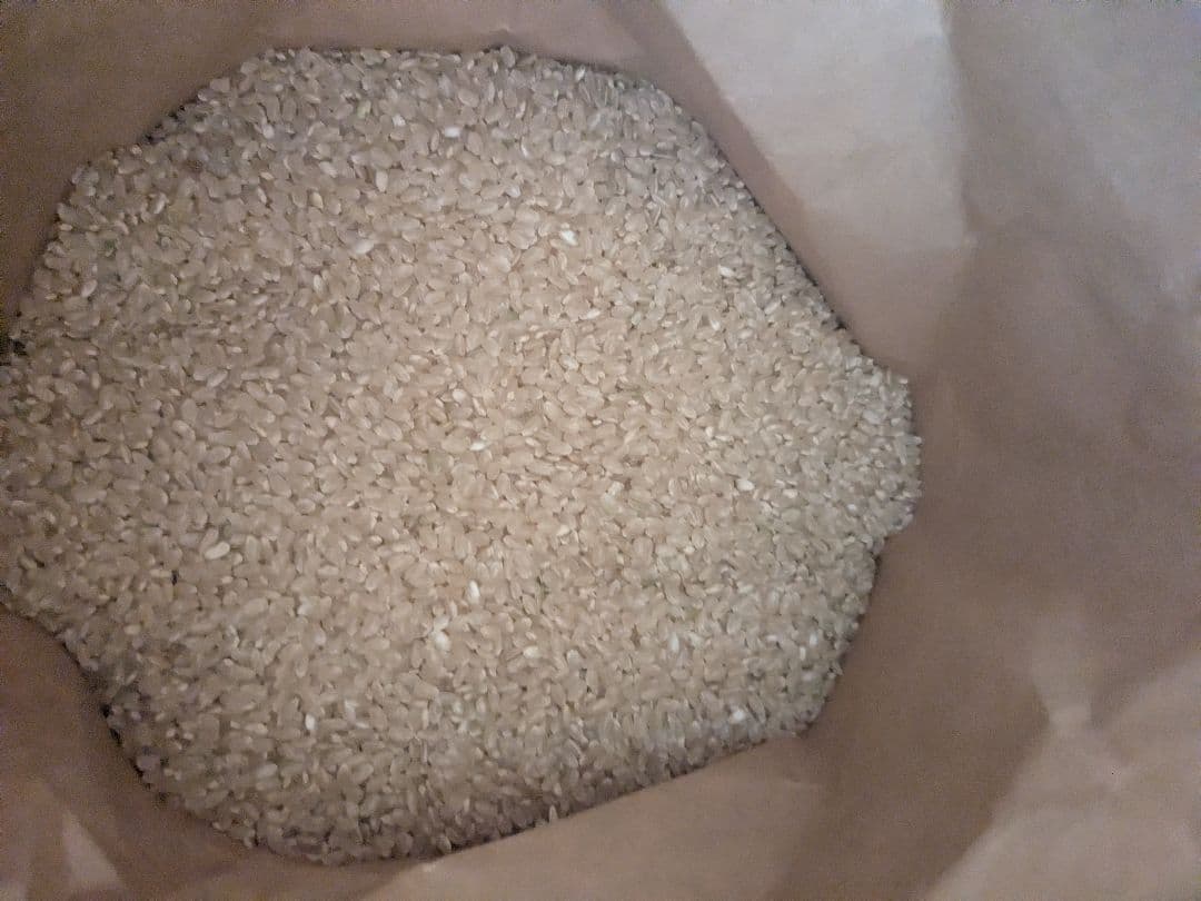 岩手県産　銀河のしずく　玄米　10キロ