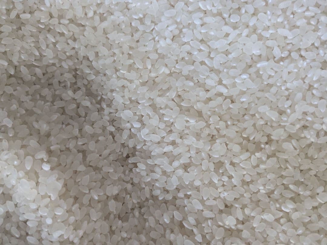 岩手県産　銀河のしずく　玄米　10キロ