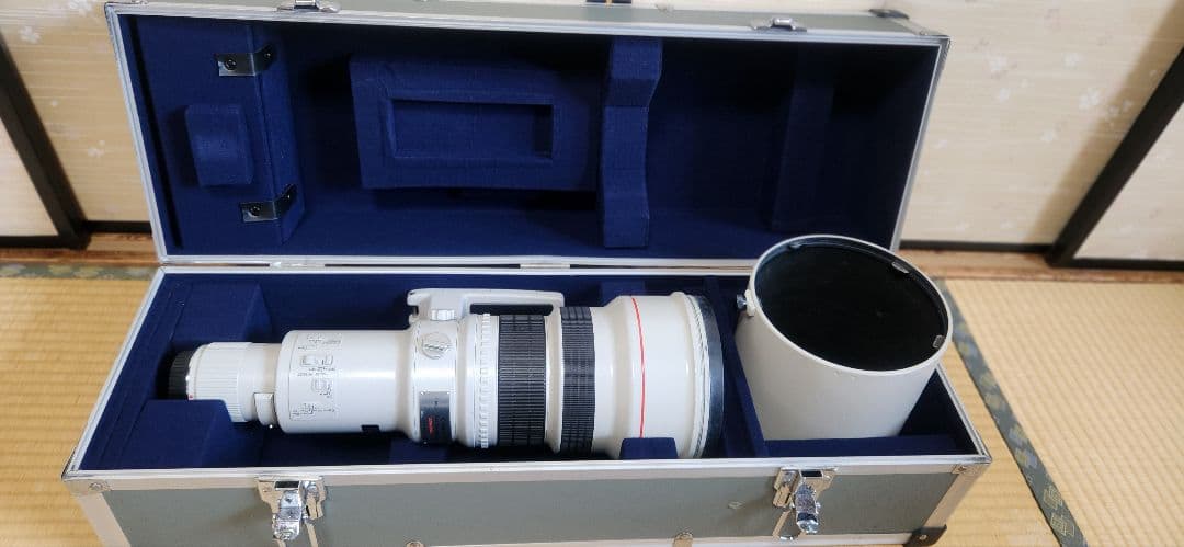 CanonのEF 600mm f/4L