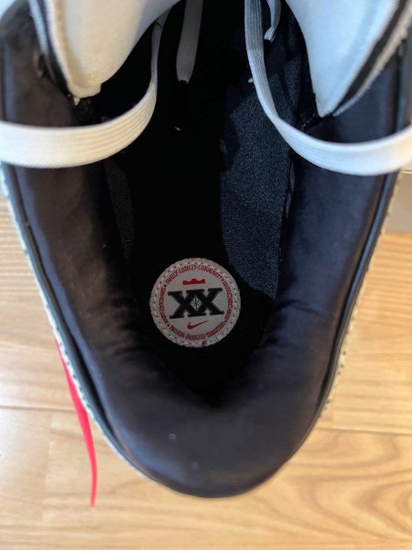 M*G様 NIKE LEBRON XX ナイキレブロン20 EP